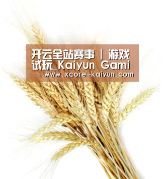 开云全站赛事 | 游戏试玩_Kaiyun Gaming