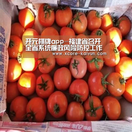 开元棋牌app-福建省召开全省系统廉政风险防控工作推进视频会议